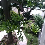 Prati Home